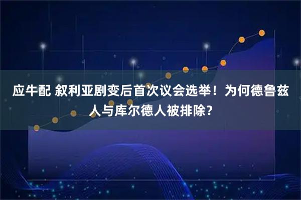 应牛配 叙利亚剧变后首次议会选举！为何德鲁兹人与库尔德人被排除？