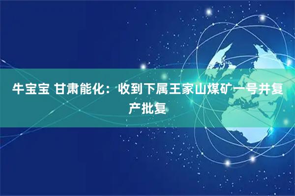 牛宝宝 甘肃能化：收到下属王家山煤矿一号井复产批复