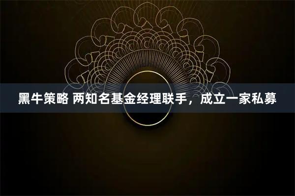 黑牛策略 两知名基金经理联手，成立一家私募